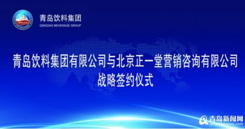 大策略营销咨询(青岛)有限公司怎么样？