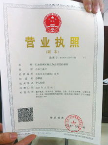 首张新版个体营业执照 出炉