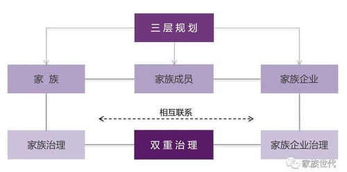 家办鸿儒论 知其所以然 应当理解的7个家族 企业 治理实践观点