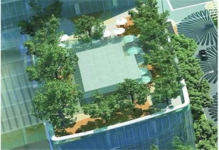 市民楼顶上建花园 规划局表示可能是违章建筑