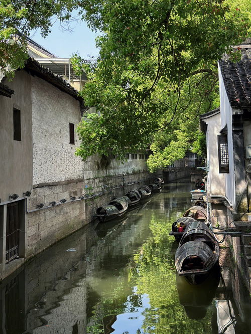 旅游风光分享 宁波到绍兴一日游 