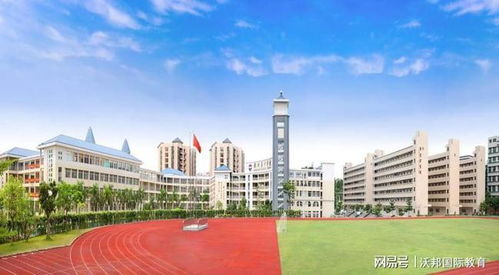 国际学校怎么样？国际学校真的好吗