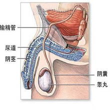 男女避孕方法及技巧注意事项,性生活的常识 