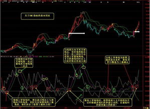 上市公司变卖家产做为散户怎么知道，看什么指标？