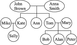 A 根据所给的家谱图,完成选项 1.John Brown and Anna Smith are Sally s . A.parents B.grandparents C.brother and 