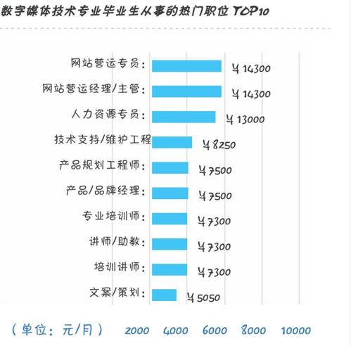 数字媒体技术以后的就业前景,都干什么工作啊 