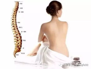 脊柱是人体最为精密的重要结构之一,有健康的脊柱才有健康的身体