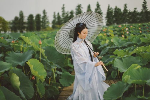 有责任,有担当,有活自己干,不会使唤老婆的3属相男