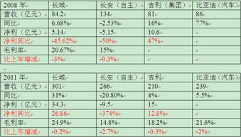 比亚迪电池公司代码是多少