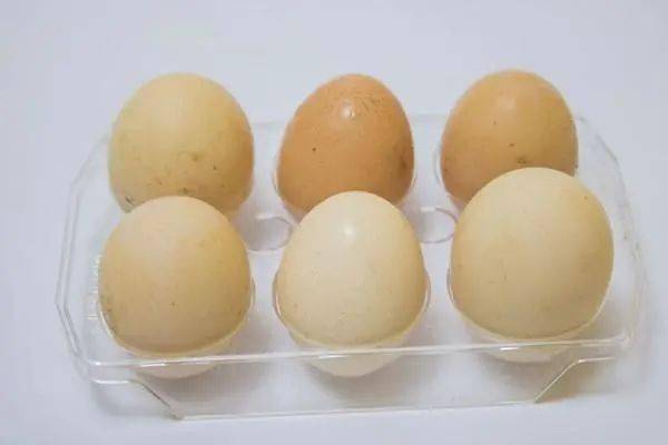 鸡蛋含胆固醇甲减患者能吃吗(鸡蛋含胆固醇甲减患者能吃吗女性)