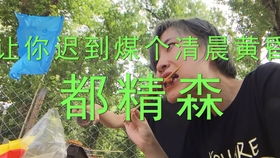 夏日漂流推荐 北京雾灵西峰高山滑水项目体验 超值超刺激 我的iPhoneXs为此vlog惨烈牺牲