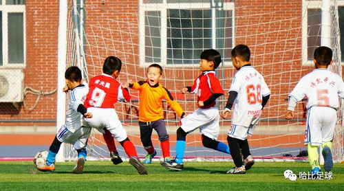 搜狐公众平台 青训教练的教学理念如何影响孩子踢球的内在动力 