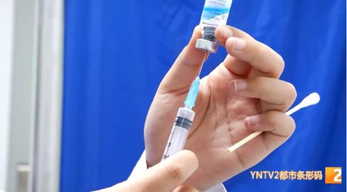 昆明市民反映狂犬疫苗紧张 疾控部门多方协调 有望下周缓解 