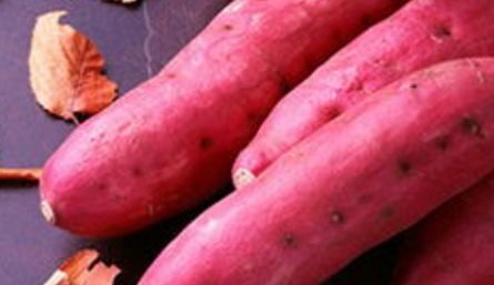 红薯品种排名好吃的红薯品种大全介绍,地瓜品种排行榜？