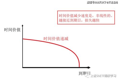  期权合约的要素包括,合同来源 交易所