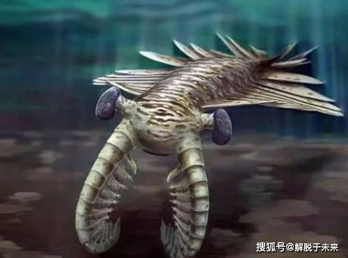 盘点海洋中的上古时代生物,其中五种目前几乎看不到了