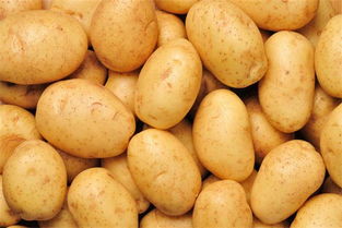 马铃薯是什么 马铃薯是土豆吗 做法介绍 