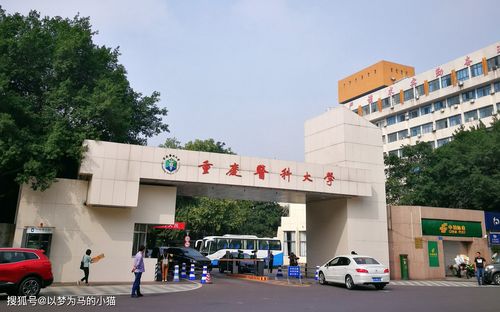 重庆市卫校公立学校有哪些