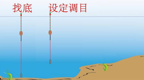 加粗目浮漂怎么钓鲫鱼 调漂方法只有两种,新手必学基本功