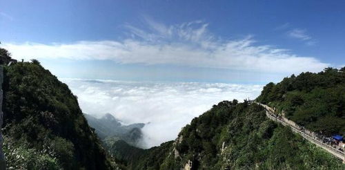 所有人都在爬泰山,而泰山最好的风景其实不是爬山