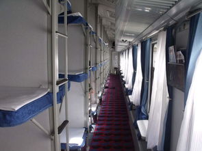 为什么火车卧铺最好避免睡窗户那头 乘务员告诉你其中 奥秘