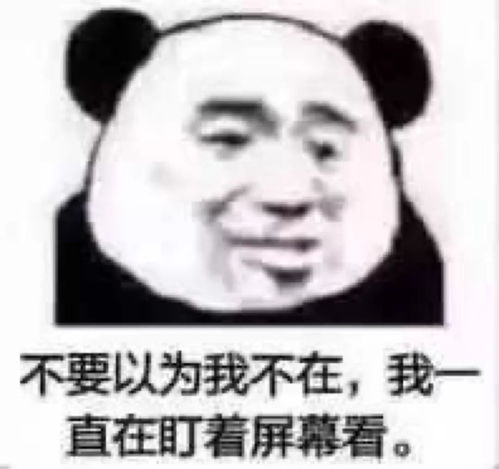 今日份表情包