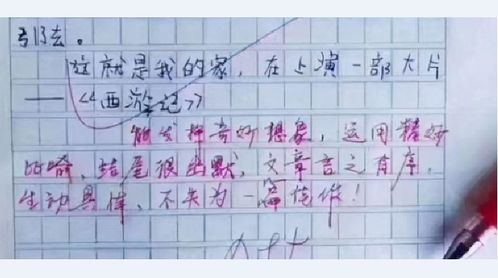 小学生作文 我的家 火了,家庭每个成员,扮演着西游记不同角色