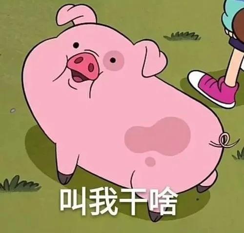 pig怎么提现,如何引出Pig ?最简单的取现方法。 pig怎么提现,如何引出Pig ?最简单的取现方法。 词条