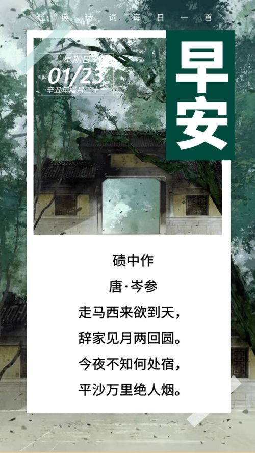 岑参碛中作赏析