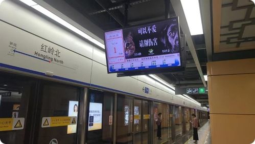 深圳地铁反虐动物广告遭投诉, 阴暗角落 再引争议