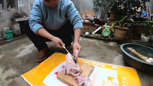 小伙第一次剁整只鸡,学庖丁解牛,顺着关节切割,把鸡大卸八块 