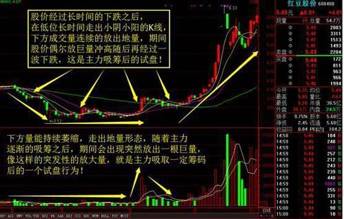 我有50万如果全仓买入不下一个亿的股票庄家会发现吗