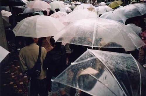 最近 下雨天 背景图爆火 最美不是下雨天,是与你一同撑过的伞 