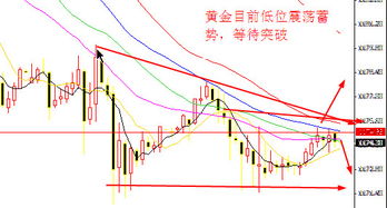 目前中国投资黄金白银和股市的哪类人比较多？