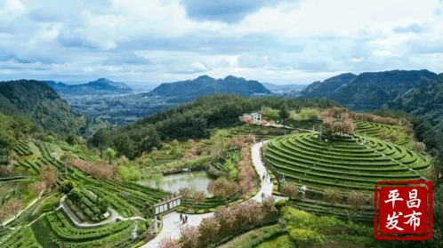 点赞 平昌这个地方拟获评 四川名村