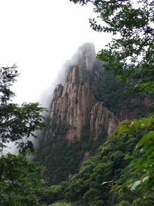 黄山风景区 黄山风景区 成人票 黄山虽然爬山爬的很累,但是这个景点 驴妈妈点评 