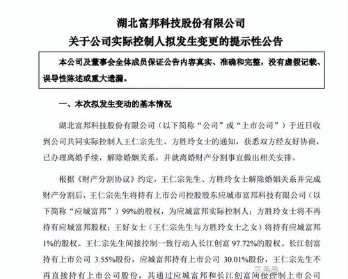  富邦股份王仁宗控股有限公司有哪些,引领数字农业发展的领军人物 天富官网