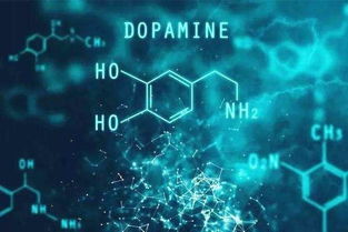 多巴胺是什么？怎么购买？