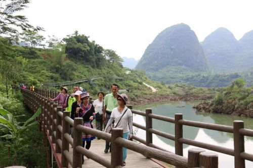 哇 这里的风景,真美 能给人一步一景的体验,不信你来看