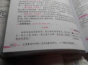 我和陈明是好朋友 一天,我们把在手工课上做的小木船拿来玩,一不小心把我的摔坏了 争执中,陈明又把它 