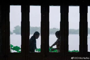 关于梧桐雨雨的诗句