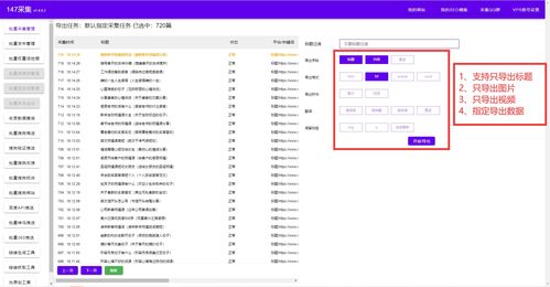 多米cms网站自动生成文章配图站群系统