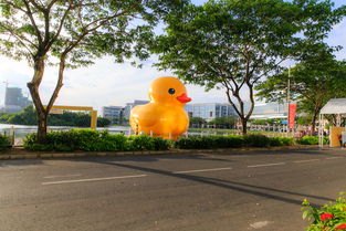 沈阳浑南旅游景点