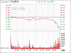 600807天业股份给分析一下？