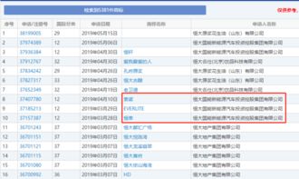 为首款新电动汽车命名,恒大国能新能源新注册多款商标