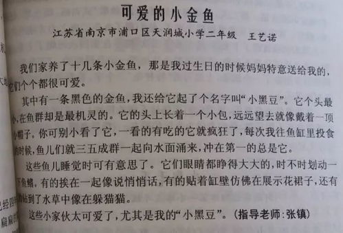 六一足球队训练,小学四年级作文第二单元我是足球王