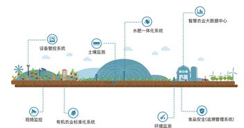 智慧农业股票历史最高价和最低价是多少