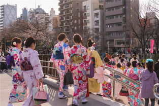 初中生如何去日本留学？(图1)