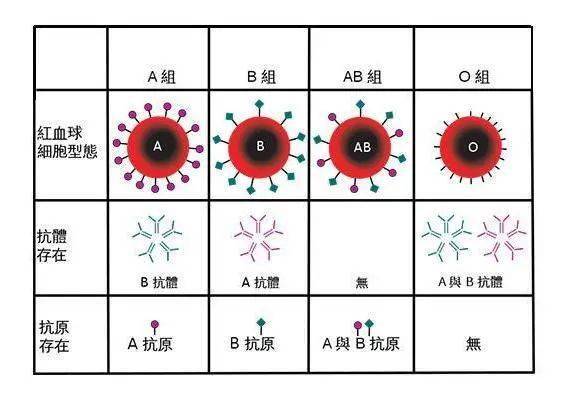 赘婿 里的滴血认亲,真能证明 你是我亲爹 吗