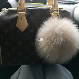 LV speedy 25 还是值得买的